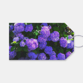 Klassische Lila Hydrangea-Geschenkmarke Geschenkanhänger
