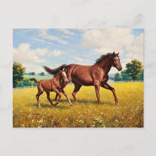 Klassische Postkarte (Vorderseite)