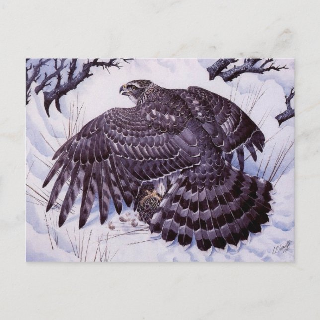 Klassische Postkarte (Vorderseite)