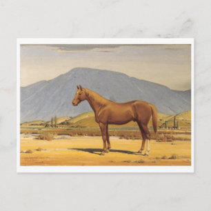 Klassische Postkarte