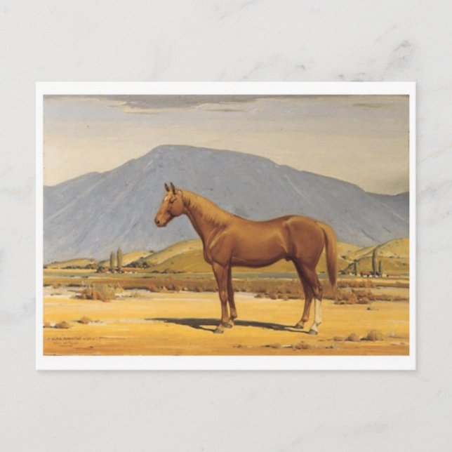 Klassische Postkarte (Vorderseite)