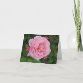 Klassische rosa Rosenleere Notizkarte Dankeskarte