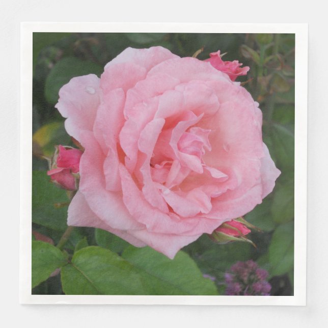 Klassische Rosa Serviette (Vorderseite)