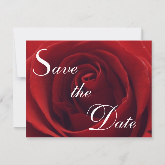 Klassische Rote Rose Save the Date Hochzeitseinlad (Vorderseite)