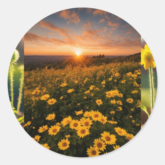 Klassische Round Stickers (Vorderseite)