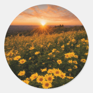 Klassische Round Stickers