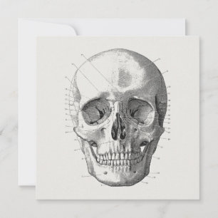 Klassische Schädel-Diagramm-Illustration Karte