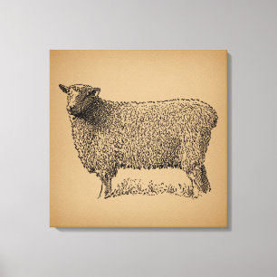 Klassische Schaf-Kunst-Illustration Antike Farmtie Leinwanddruck