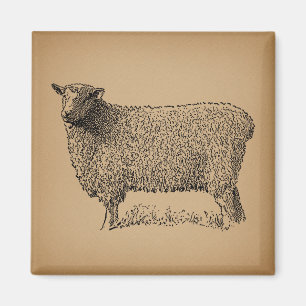 Klassische Schaf-Kunst-Illustration Antike Farmtie Magnet