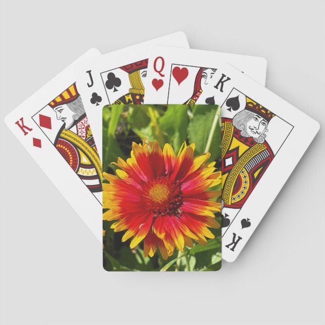 Klassische Spielkarten für Blanketflower (Rückseite)