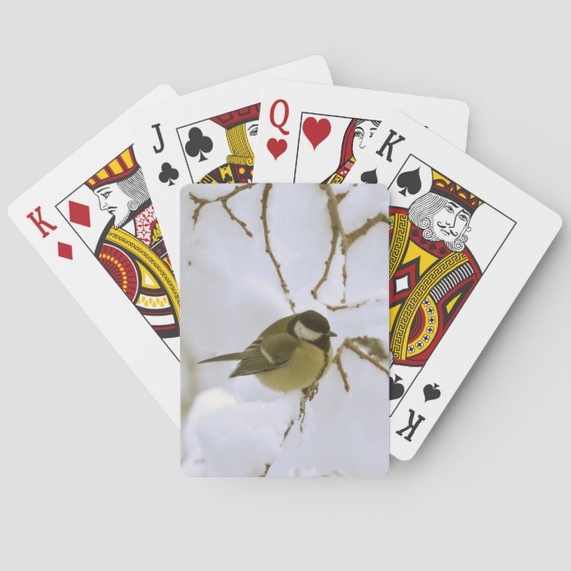 Klassische Spielkarten für Vögel (Rückseite)