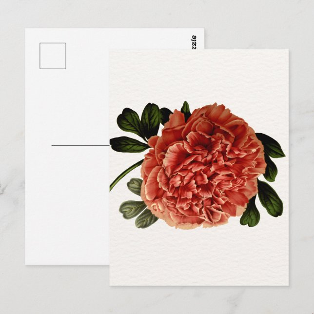 Klassische Vintage Blume Postkarte (Vorne/Hinten)