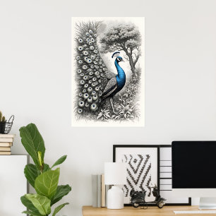 klassische Vintage-Pfau-Bildkunstposter Druck Poster