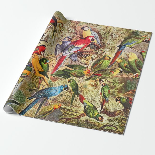 Klassische Vintage tropische Vogelwelten Geschenkpapier (Ungerollt)