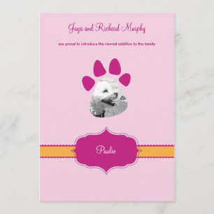 "Klassische Vorbereitungs-" neues Ankündigung