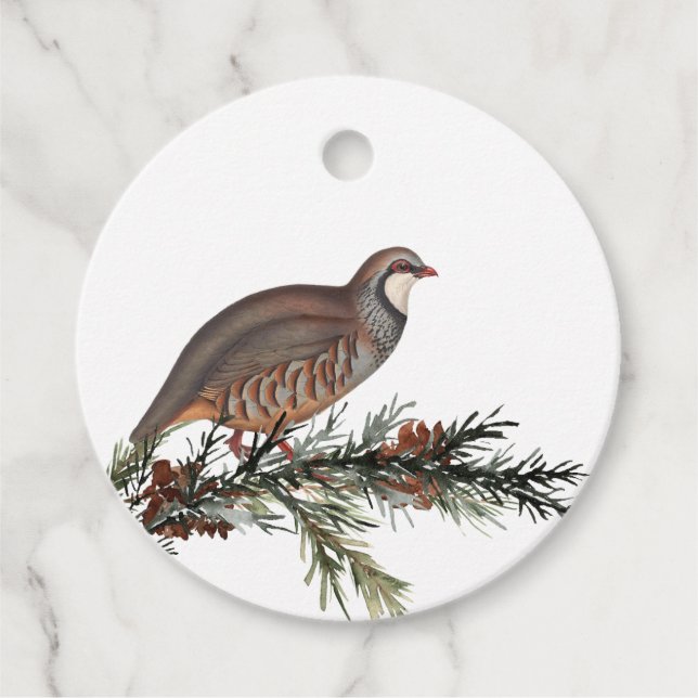 Klassische Weihnachts-Winter-Partridge-Bird-Gesche Geschenkanhänger (Vorderseite)