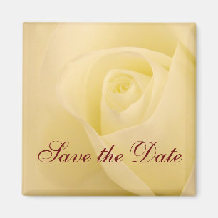 Klassische weiße Brautrose Save-the-Date Magnet