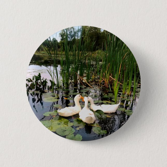 Klassische weiße Enten am schönen See Button (Vorderseite)