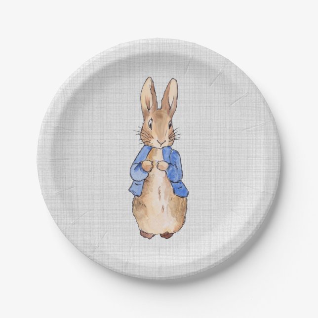 Klassischer Hase blaue Jacke Pappteller (Vorderseite)