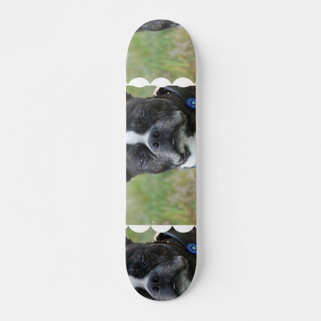 Klassischer Hund Bostons Terrier Skateboard (Vorne)