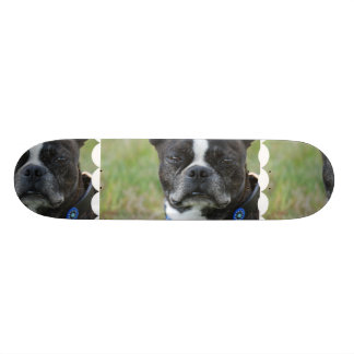 Klassischer Hund Bostons Terrier Skateboard