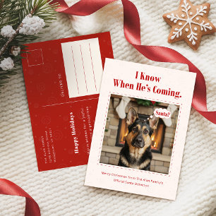 Klassischer lustiger Hunde-Foto-Weihnachten Feiertagspostkarte