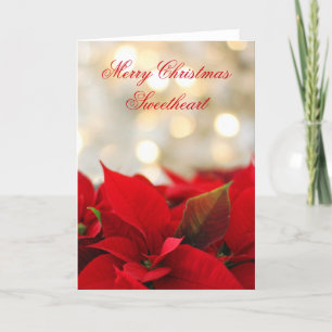 Klassischer Poinsettien romantischer Weihnachten