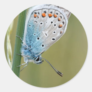 Klassischer Rundaufkleber Runder Aufkleber