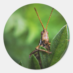 Klassischer Rundaufkleber Runder Aufkleber