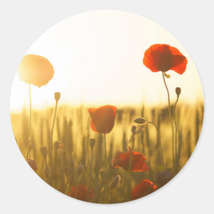 Klassischer Rundaufkleber Runder Aufkleber