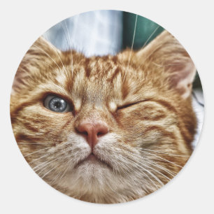 Klassischer runder Aufkleber