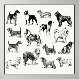 Klassischer viktorianischer Hunde-Liebhaber Vintag Poster