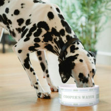Klassisches Blau Grün Kariertes Muster Name Hund W
