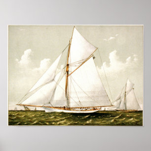 Klassisches Etching - Segelboote Poster