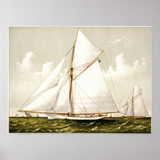 Klassisches Etching - Segelboote Poster
