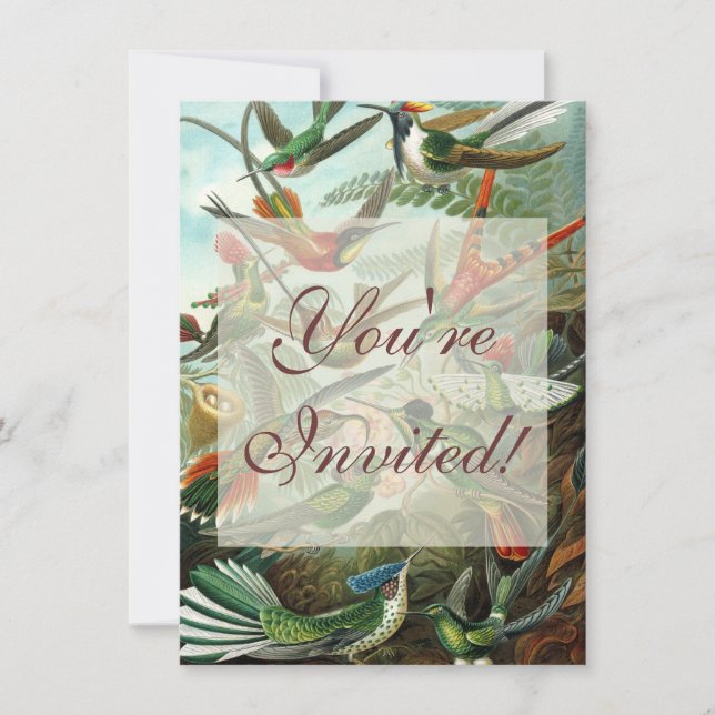 Klassisches Gemälde von Kolibri Einladung (Vorderseite)