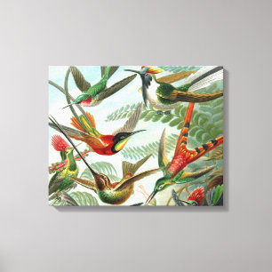 Klassisches Gemälde von Kolibri Leinwanddruck