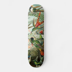 Klassisches Gemälde von Kolibri Skateboard