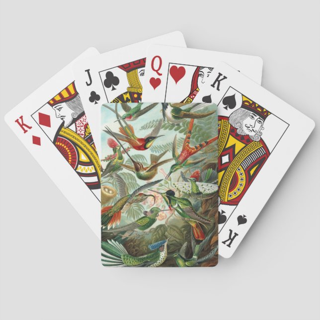 Klassisches Gemälde von Kolibri Spielkarten (Rückseite)