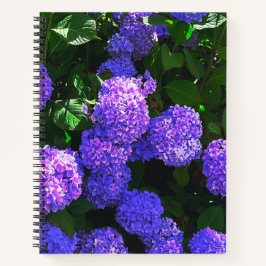 Klassisches Lila-realistisches Hydrangea Spiral No Notizbuch