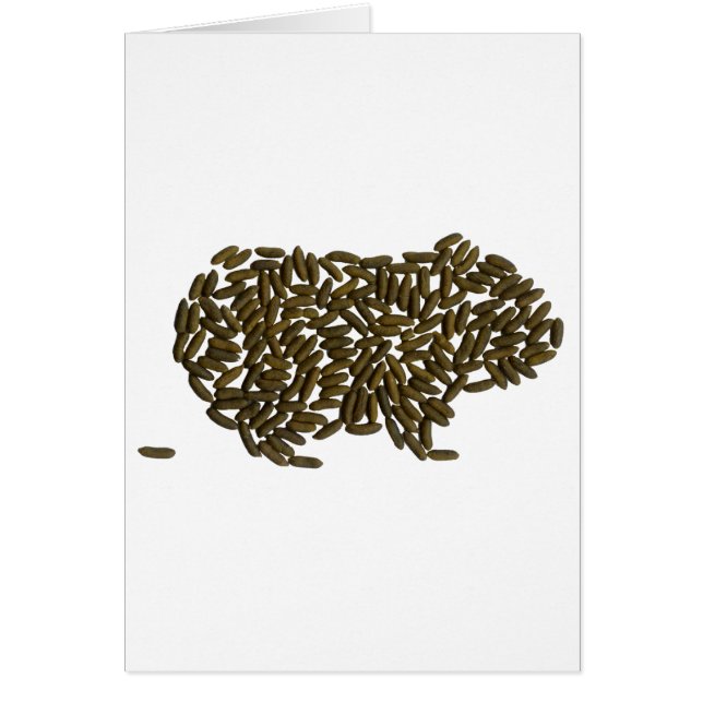 Klassisches Meerschweinchen (Vorne)