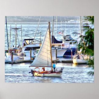 Klassisches Segelschiff in Port Hadlock Marina Poster