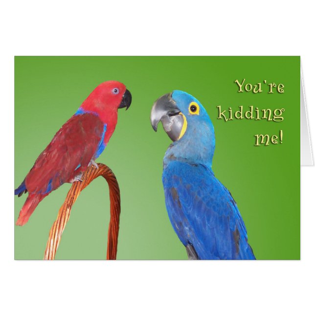 Klatsch (Vorderseite (Horizontal))