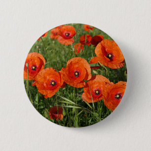 Klatschmohn button