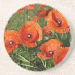 Klatschmohn  getränkeuntersetzer