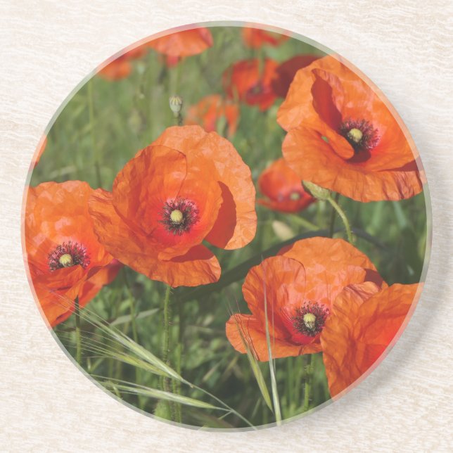 Klatschmohn  getränkeuntersetzer (Vorne)
