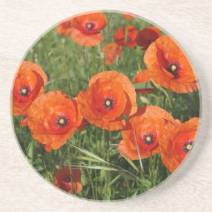 Klatschmohn Getränkeuntersetzer