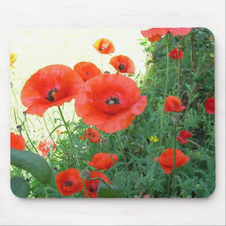 Klatschmohn Mousepad