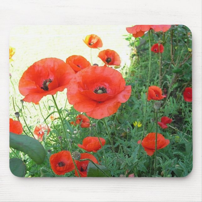 Klatschmohn Mousepad (Vorne)