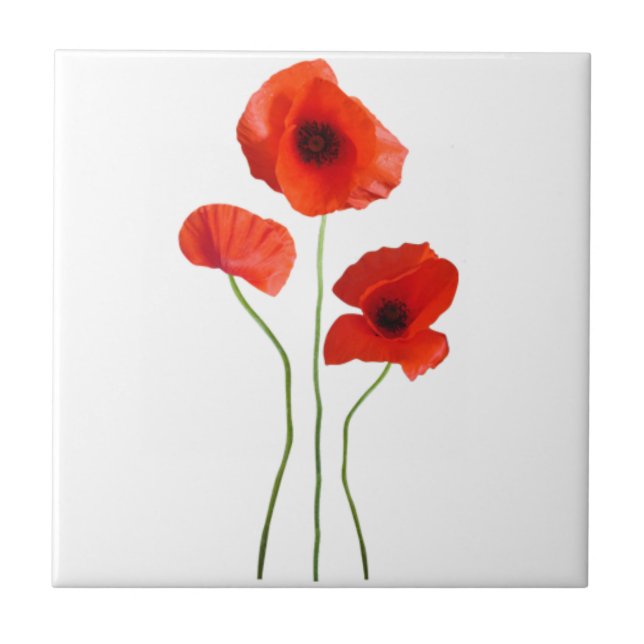 Klatschmohn - poppy fliese (Vorderseite)
